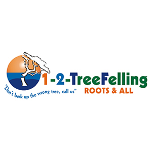 Pretoria East Tree Felling