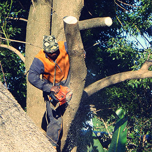 Gate Motors Pretoria East